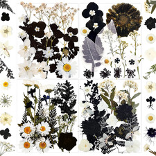 84Pcs Black Dried Pressed Flowers for Resin Molds, Bulk Real Natural Dry Floral