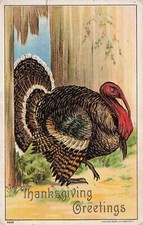 Thanksgiving Card Turkey Rustic Fence Country Side Julius Bien Vtg Postcard E19
