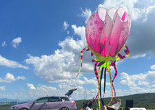 18M Large 3D Kites models Original Software kite jellyfish painted flower Demo