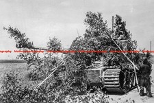 F027895 German Panzer VI Tiger camouflaged by crew west of Daugava River 1944 WW