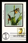 DR JIM STAMPS US CARD YELLOW LADY'S SLIPPER ORCHIDS FDC COLORANO SILK CACHET