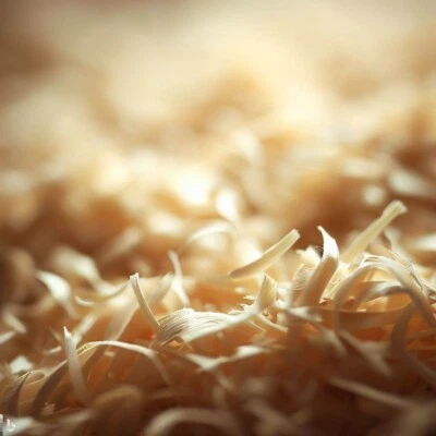 ZIRBENKISSEN24 6 Liter weiche & feine, duftende Zirbenspäne, Zirbenholz, 24h frisch gehobelt