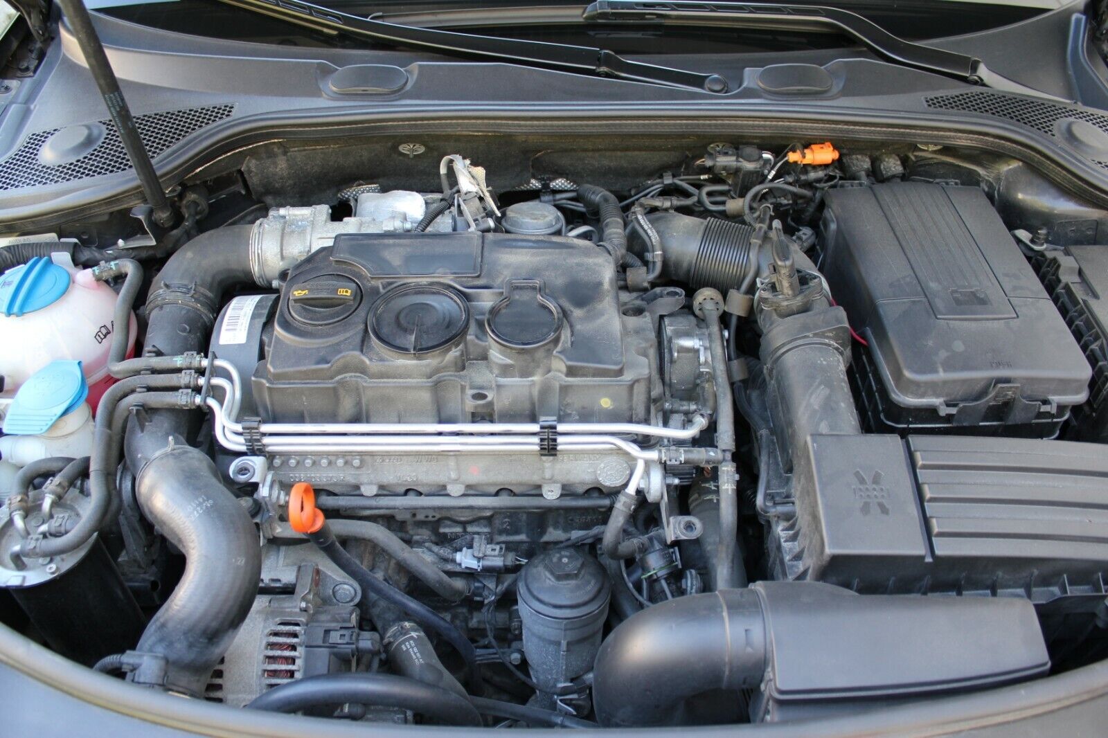 Picture 8 of 9