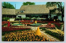 Patricia Murphy's Candlelight Restaurant Manhasset NY Postcard 1956 Tulips