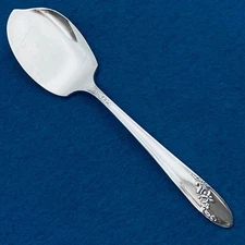 Queen Bess by Oneida Community Silver Plate Jelly / Condiment Spoon