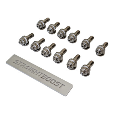 Titanium Extended Exhaust Manifold Studs for BMW M60 M62 V8 Engine E34 530i