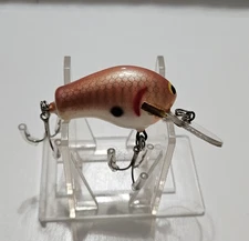 Bagley's Diving Honey Bee Nelly's Goldfish Tough Color Beautiful Lure All Brass