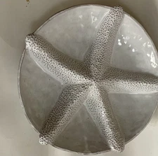 Large Starfish Sectioned Dish By Mud Pie 12”