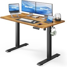 Standing Desk Adjustable Height Stand up Home Office Desk 48x24 Inch Electric