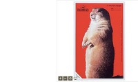 Redhead® Targets - Varmint Arg Redhead® Targets - Varmint Arg