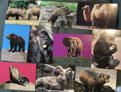 1993 Cardz World Famous San Diego Zoo Complete Set Great Animal