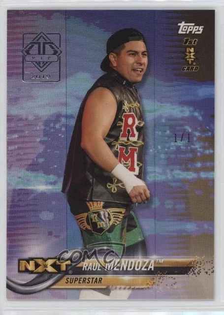 2018 Topps WWE Then Now Forever Transcendent VIP Party 1/1 Raul Mendoza #160 kn8