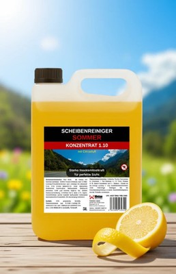 Scheibenreiniger 1:10 Konzentrat Sommer 5 L Insektenlöser Scheibenwischwasser