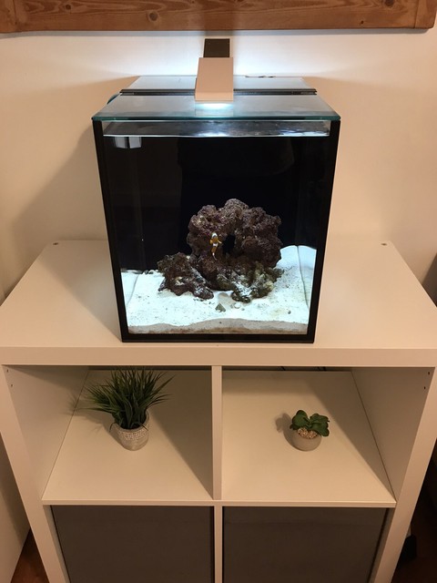 40 gallon aquarium stand