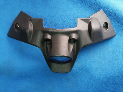 DUCATI PANIGALE V2 1299 1199 959 899 STANDARD ZÜNDSCHLÜSSEL SCHILD SCHUTZ TANK