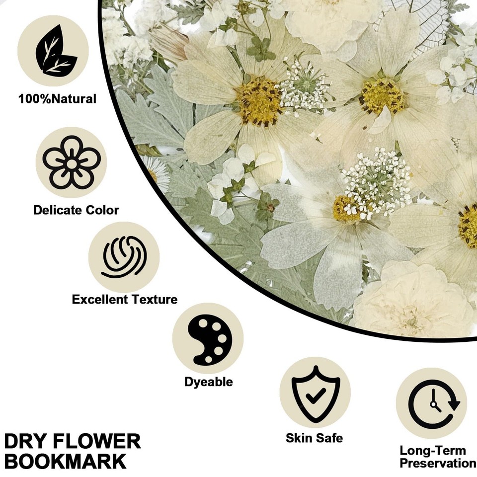 50Pcs Large Dried Pressed Flowers for Resin Molds, Real Dry Natural