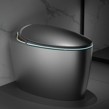 WinZo Luxury Smart Toilet With Bidet Seat,Auto Open Auto Flush Side Buttons Grey