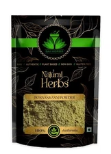 SAI HERBS Poonai Meesai Powder - Orthosiphon Aristatus Powder - Pure & Natural