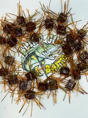 Fuzzy Iced Tea with matching wigglers 5 pack Bin 57