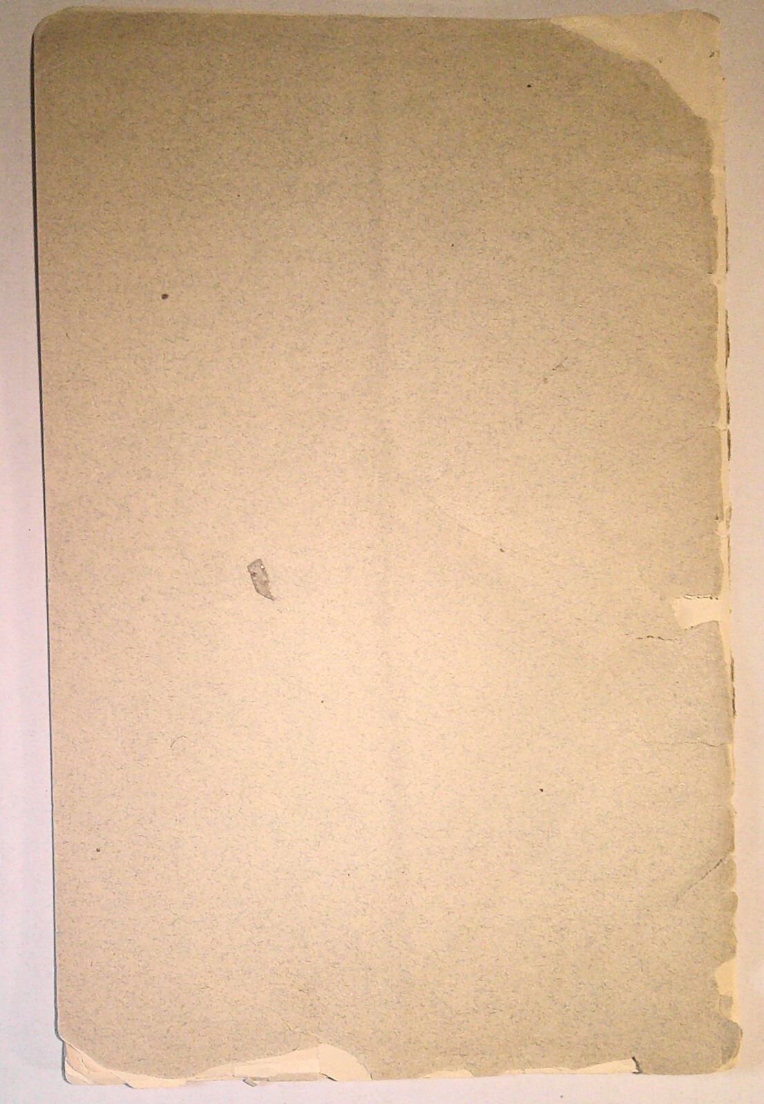 Picture 7 of 8