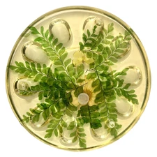 Footed Acrylic Deviled Egg Plate Pressed Dried Flowers Easter by Design Gifts