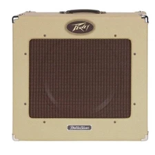 Peavey Delta Blues Recap Kit- Repair your own amp with instructions