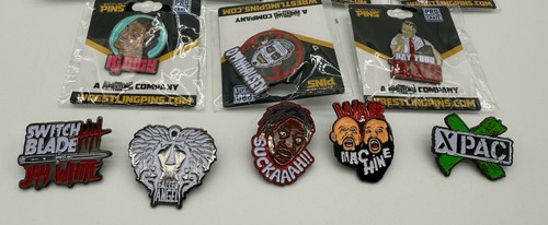 16 Wrestling Pins aus Pro Wrestling Crate Neu & Gebraucht Ric Flair Kong - Bild 4 von 5