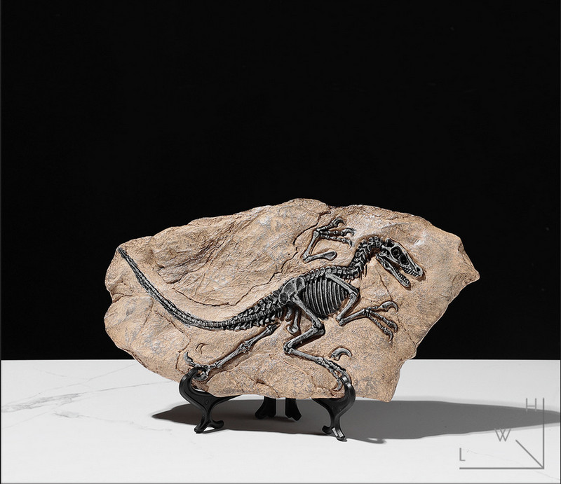 TOP! simulated Jurassic Cretaceous dinosaur skeletal fossil specimens 2.2LB