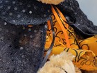 Bild 9 von 12