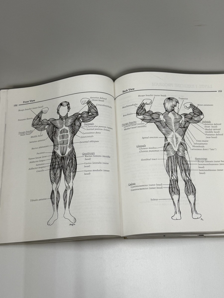 Encyclopedia of Modern Bodybuilding Arnold Schwarzenegger Muscle