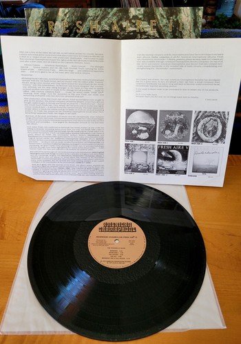 Mannheim Steamroller: Fresh Aire III 1979 Gateleg LP AG-365, Original Insert EX - Picture 4 of 10