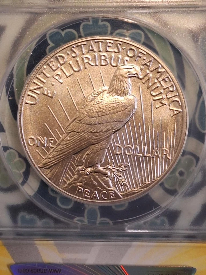 2024 (P) PEACE DOLLAR .999 SILVER ANACS MS 69 - Image 4 of 4