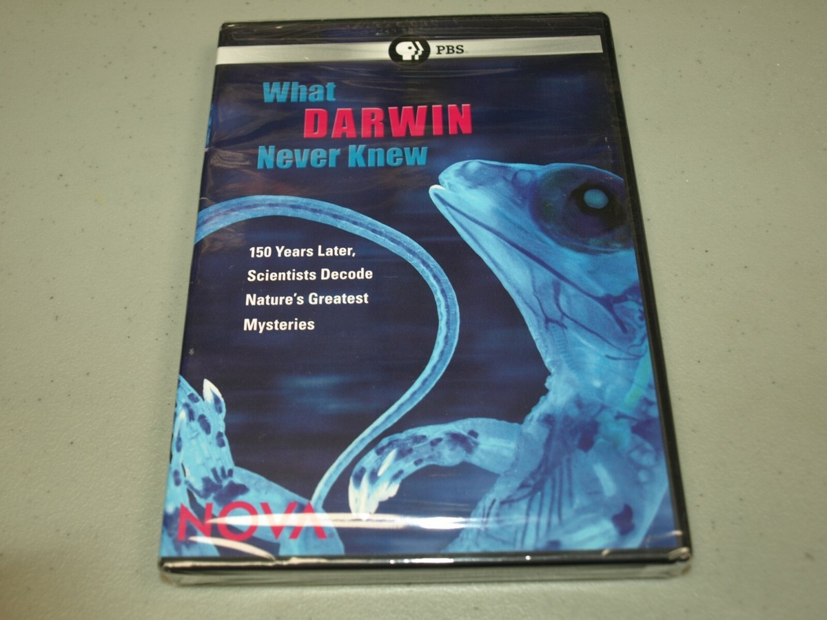 (未使用･未開封品)Nova: What Darwin Never Knew [Blu-ray] What Darwin Never Knew (DVD, 2010) NOVA PBS Home Video RARE