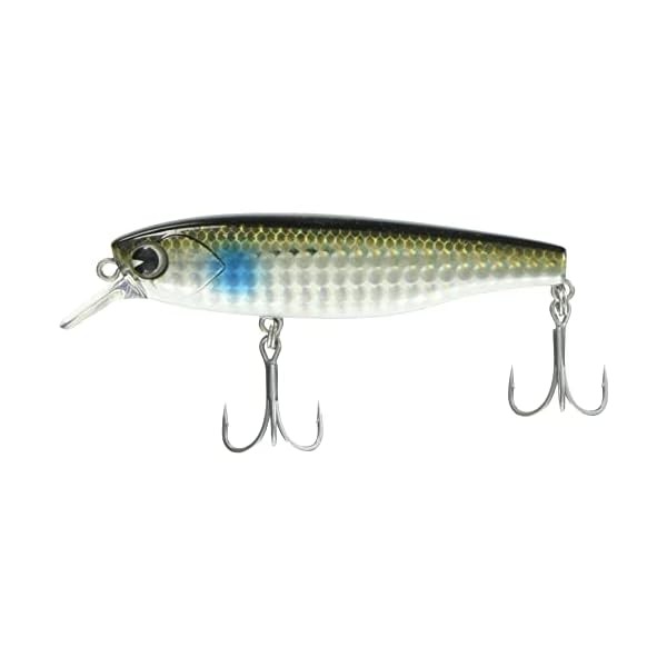 Ams Design (IMA) Shad K-Taizuspend Lure Official Collectible Exclusive Japan
