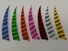 Archery Past 4" Shield Barred Feathers - 12 Pack, RW or LW