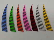 Archery Past 4" Shield Barred Feathers - 12 Pack, RW or LW