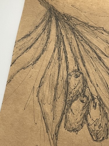 Modern Minimalist Sketch Olive Branch Art Original Botanical Plant Drawing 4x6” - Picture 10 of 15
