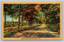 Scenic Road In Fairfield Virginia VA VINTAGE Postcard