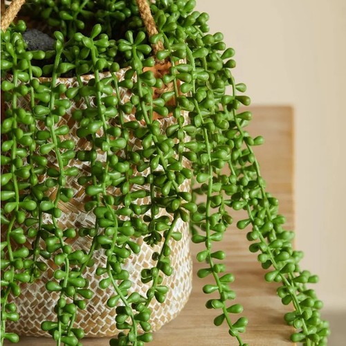 4pcs Artificial Hanging Plants Pearls String Plant Hanging Succulent Wall Decors