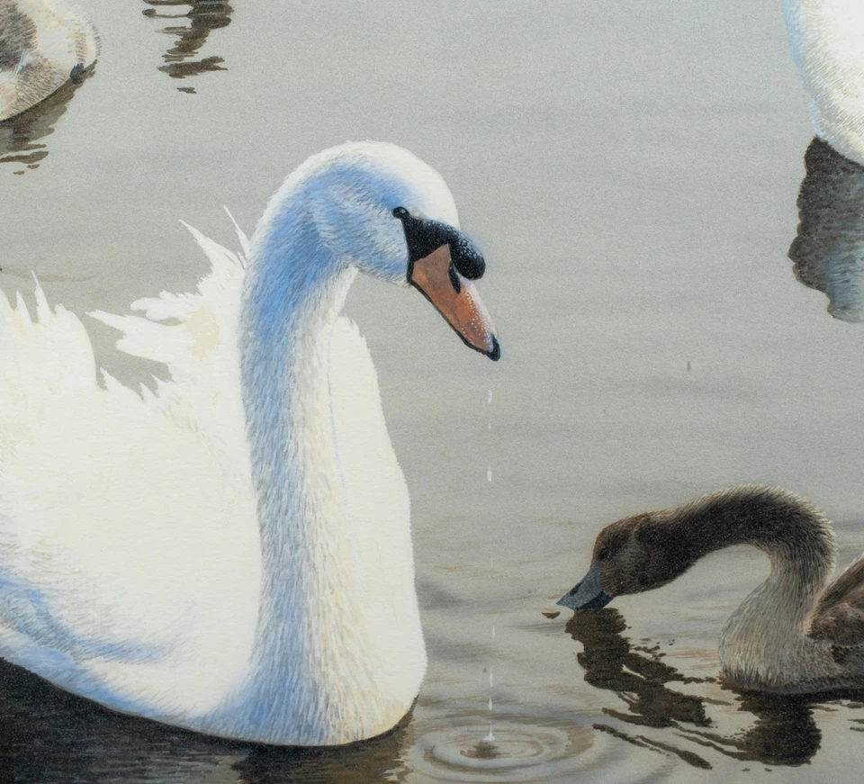 Vintage Signed Painting, Swans and Cygnets, G. Dupont, 1995. Finely Done - Image 3 of 4