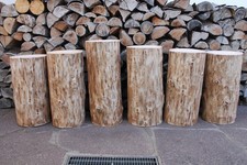 XL Baumstamm Holzstamm # 42 cm-51 cm hoch # Blumensäule Katzenbaum Holzhocker