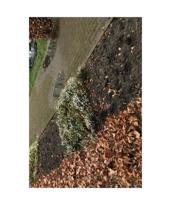 kinder: rouw-gedichten, Linders, Ans