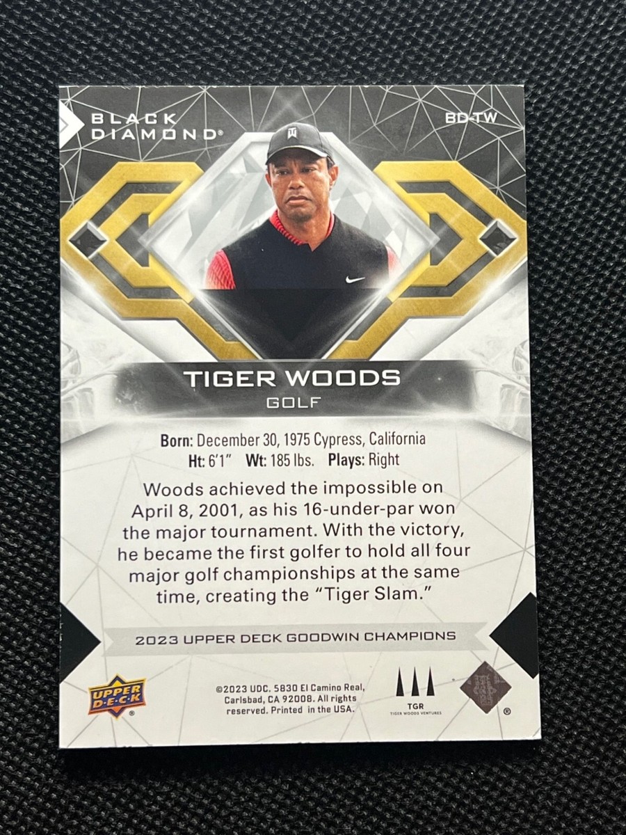 10/10 Tejera手描 2022 UD Goodwin Champions 10/10 Tejera手描 2022