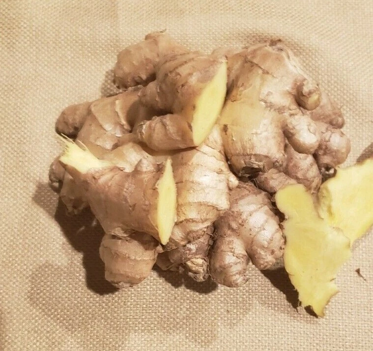 PRIME WHOLESALERS Fresh Organic Ginger Root. 14 - ounces package