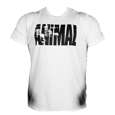 universal nutrition shirt