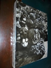 Barcellona G.S. - Pecoraino M.; THE SCULPTORS PF THE CASSARO ; IN.GRA.NA. 1973