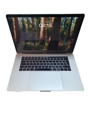 2018 Apple MacBook Pro 15,4'' A1990 i7 16GB 512GB SSD Grau Sequoia Grade C EA1003