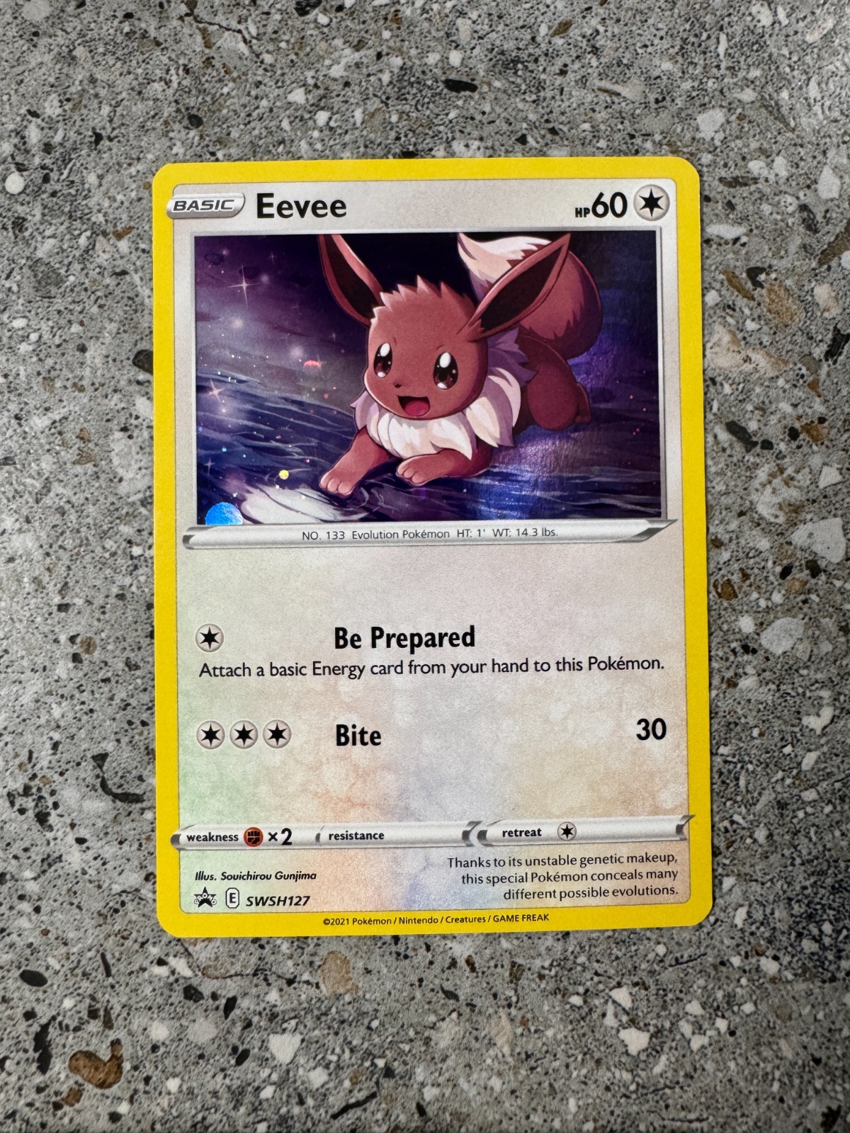 Pokemon TCG Cards Eevee SWSH127 Black Star Promo Holo NM-M