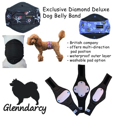 low protein puppy food