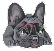 Sublimation Print Big Eyed French Bulldog Ready to Press Heat Transfer